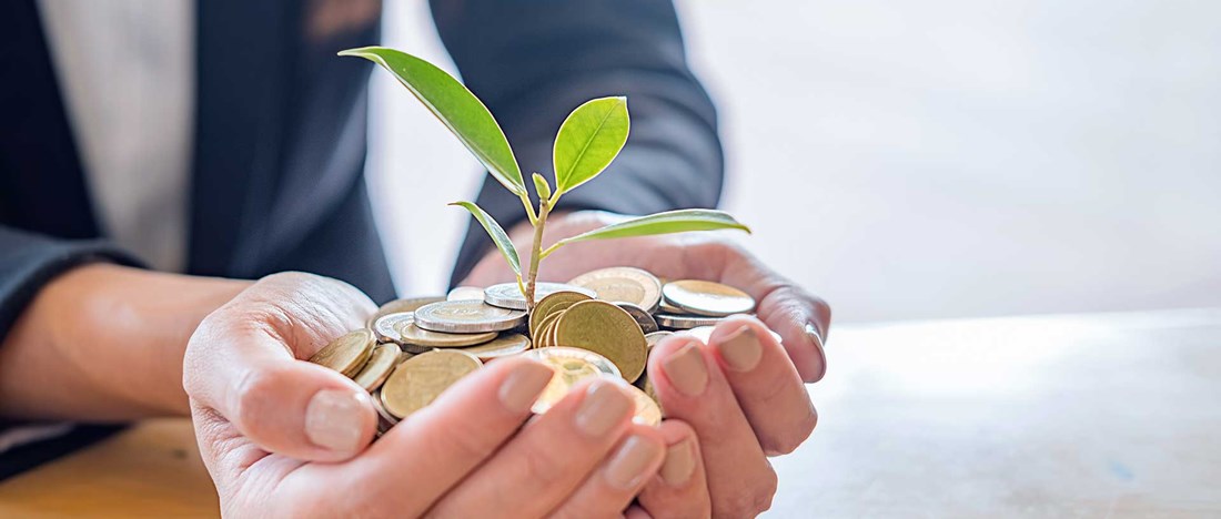 Kupade händer med en liten planta som växer