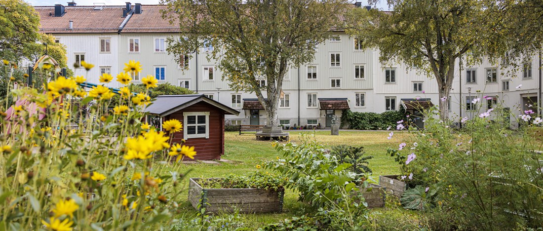 Ett bostadsområde med lägenhetshus.