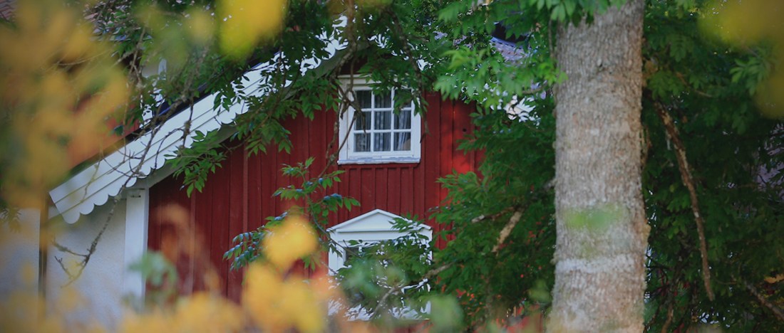skyskrapa mot himmel