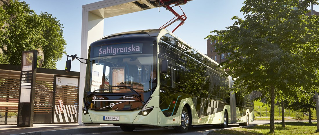 Ett tåg fullastat med barn och föräldrar passerar ett par betande får.
