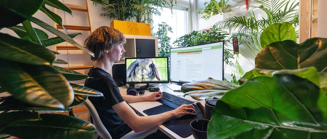 Boende i HSB Living LAB som har massor av gröna växter i sitt rum