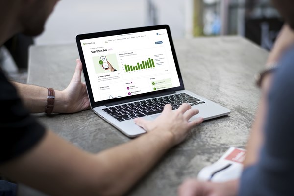 Datorskärm som visar statistik från Mina sidor konto