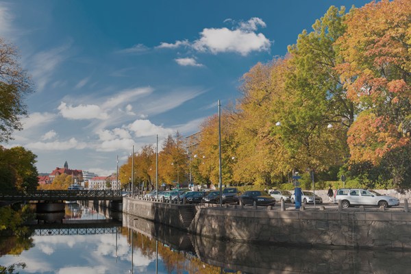 höstiga träd längs kanalen en solig höstdag