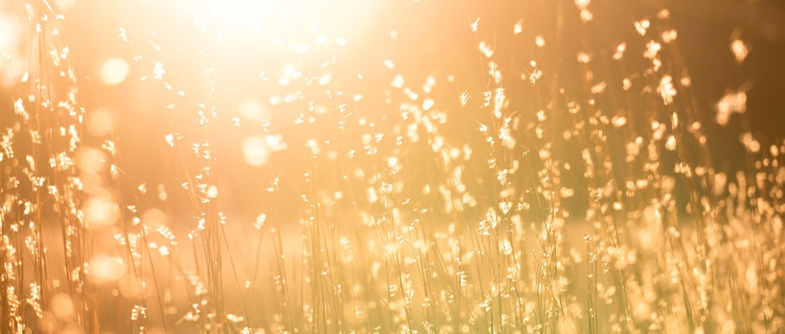 Solenergi från solens strålar