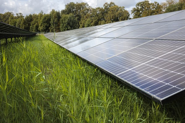 Solceller