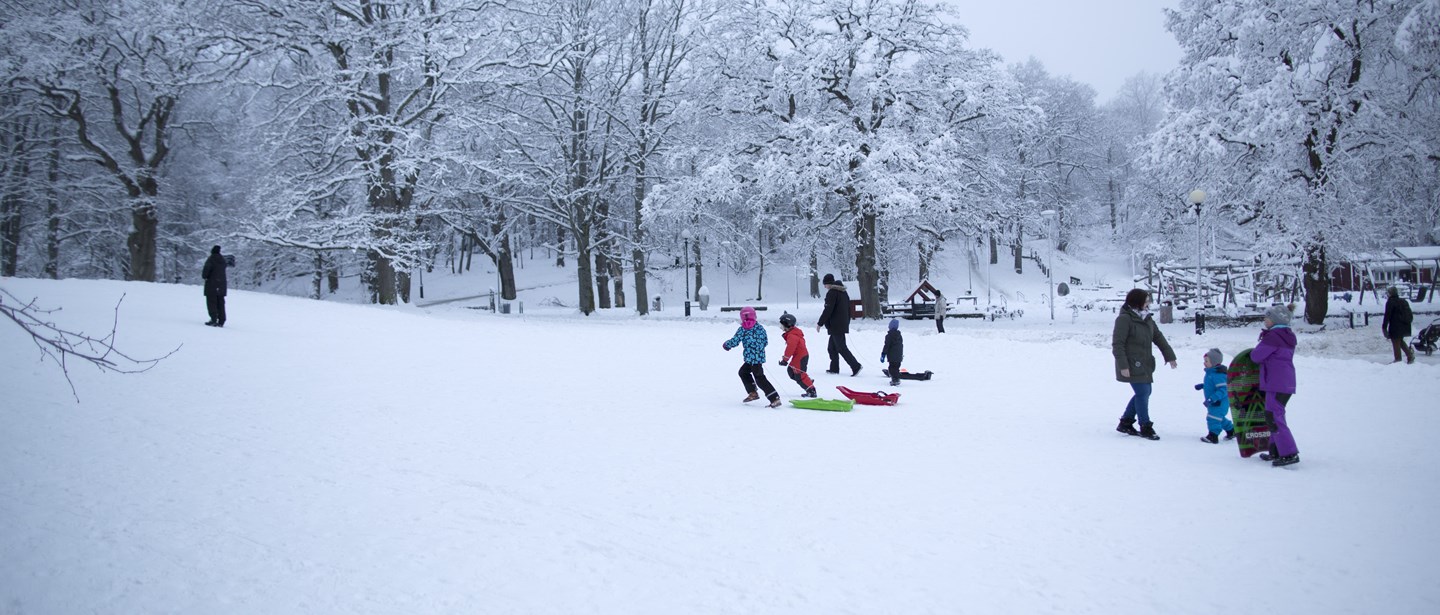 Barn åker pulka i vintrigt landskap.