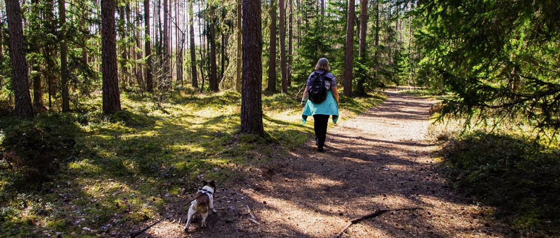 En kvinna och en hund på skogspromenad.