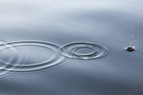 Droppar som skapar cirklar i vattnet.