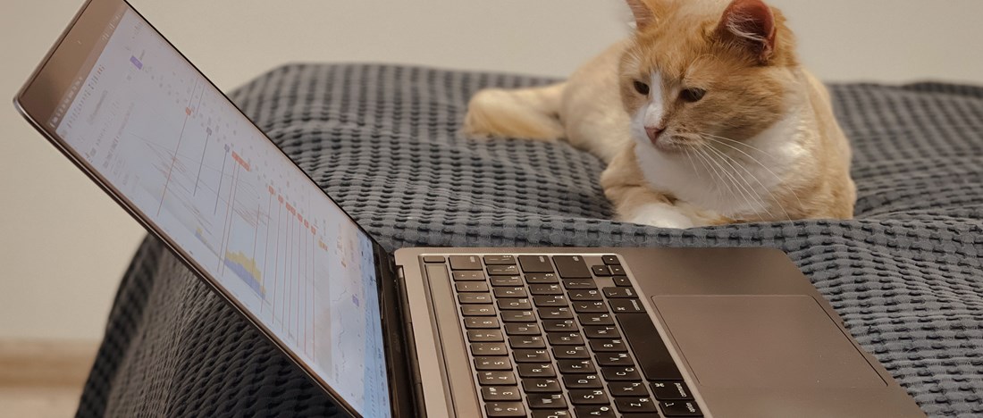 En katt tittar på ett fjärrvärmeprisdiagram på en laptop.