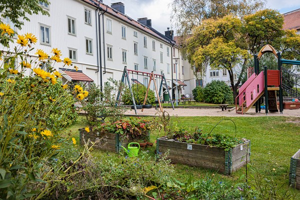 Fågel flyger över BRF Stengodset.