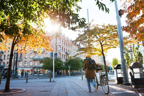 Göteborg Energis elprisexpert: Höga elpriser väntar i höst och vinter