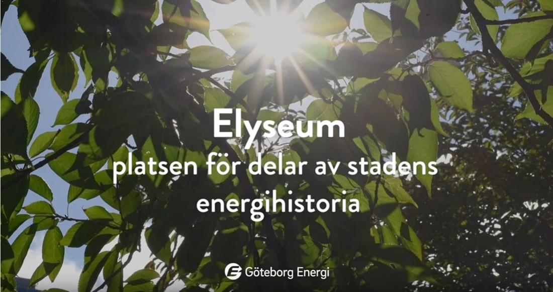 Bild på solen som skiner genom löv.