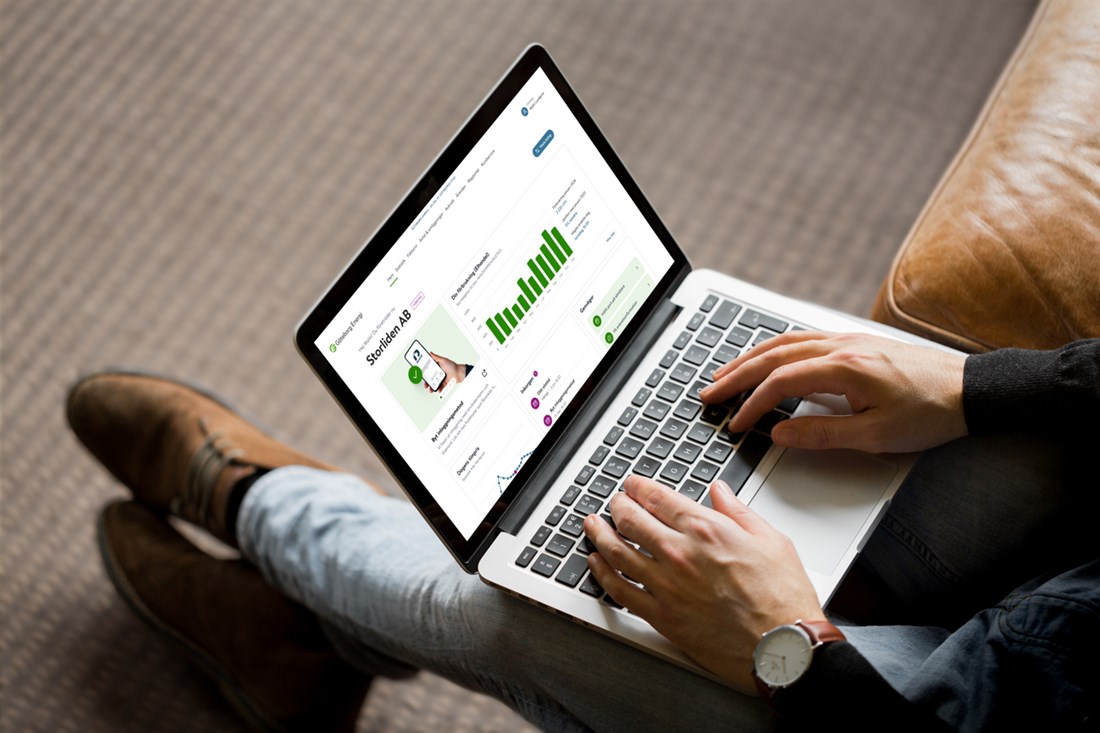 åtkomsthantering mina sidor