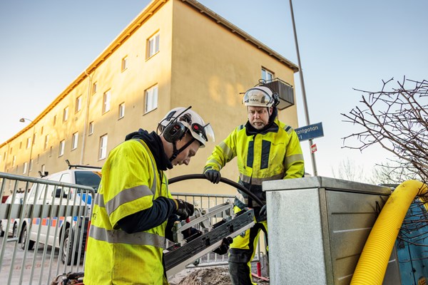 Medarbetare i varselkläder arbetar i fält
